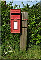 TF5312 : Elizabeth II postbox on School Road, St John's Fen End by JThomas