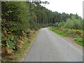 Minor road near to Knockaneorn