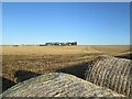 Refuge  Farm  over  stubble  field