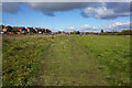 Thames path towards Abingdon-on-Thames