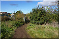 Thames path towards Abingdon-on-Thames