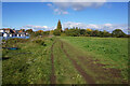 Thames path towards Abingdon-on-Thames