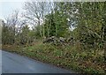 Old stone wall on Outputs Lane