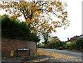 Looking from Pendennis Close into Pyrford Road