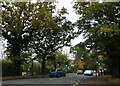 Looking across Oakcroft Road into Old Woking Road