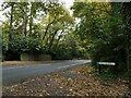 Looking from Golf Close into Old Woking Road