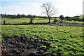H5371 : Muddy ground, Bancran by Kenneth  Allen