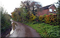 Hazelheads Lane, Knaresborough