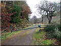 Gated forest road