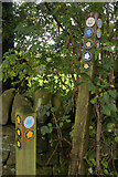 SK3155 : Way Markers on the Midshires Way, Derbyshire by Andrew Tryon