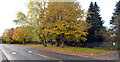 Halfpenny Lane, Knaresborough