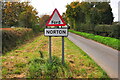 ST8884 : Norton, Wiltshire 2020 by Ray Bird
