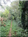 Bridleway to Orlingbury Road, Pytchley