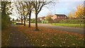 TF1604 : Hodgson Avenue, Werrington, in the autumn by Paul Bryan