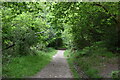 TQ5738 : Footpath, Tunbridge Wells Common by N Chadwick