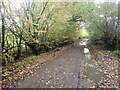 Green Hill Lane seen from the Greensand Way