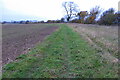 Footpath to Higham Park Farm