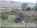 Enclosure near Crookedstane farm