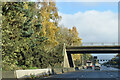 Autumn colours beside the M3