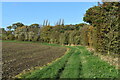 Field edge path north of Arlesey