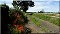 Track leading S from Buttery Farm