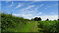 Track between Kynnersley Drive and Buttery Farm