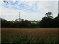 SP8175 : Prepared field near Mawsley by Jonathan Thacker