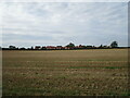 Stubble field and Mawsley Village