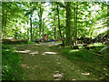 Forestry equipment, Thirds Copse