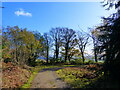 ST5097 : Bend in the track near a viewpoint, Chepstow Park Wood by Ruth Sharville