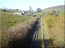 NY6949 : South Tynedale Railway by Oliver Dixon
