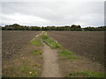 Footpath to Clothall Common, Baldock