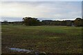 Farmland north of Chillington Hall