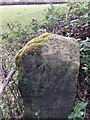 Rivet Benchmark Rodley Canal