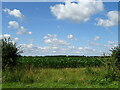 Crop field off Lodge Road