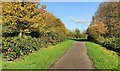 Autumn colours on the Aylestone Meadows