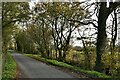 Allwood Green, Back Street