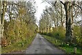 Bacton Green:  Private road (also restricted byway) leading to Newbells Farm