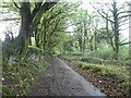 Road to Scorhill on Dartmoor