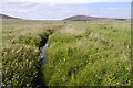 Kettleshiel Burn