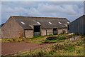 Berwick-Upon-Tweed : Folly Farm