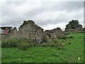 NZ0647 : Ruins of the farmstead at Fell Close by Robert Graham