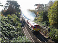 Class 66 near Llanishen