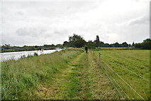 SP4710 : Thames Path by N Chadwick