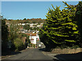 Barton Hill, Dawlish