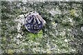 Benchmark on wall on south side of River Aire east of Gargrave Bridge