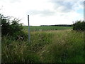 Footpath near Firgrove Farm