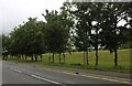 Grassland by the A1307, Haverhill