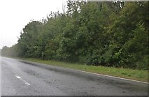 TL6047 : Heavy rain on the A1307, Horseheath by David Howard