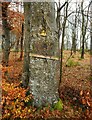 Disappearing hydrant sign